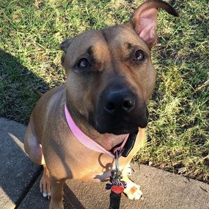 Meet your Posher, Jennifer